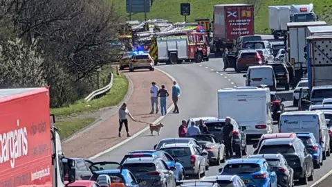 Cars and lorries line two lanes of the M6. Fire service vehicles block the top of the road. Groups of people are standing outside their vehicles, including a woman with a dog on a lead. 
