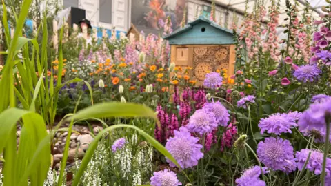 Nicola Haseler/BBC A close-up of leaves and various flowers, of pink, purple and orange. There appears to be a bee hive surrounded by the flowers.
