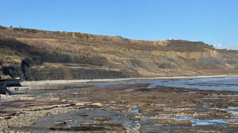 Lyme Regis Museum Eroded cliffs above a stony beach.
