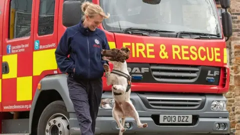LFRS Davey, a brown and white spaniel, jumps in the air as he looks at his handler who is standing in front off a fire engine. His handler is looking at him and grinning. She has blonde hair tied back and is wearing navy blue trousers and fleece with her hands in her pockets
