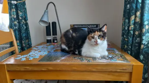 Peterborough Cat Rescue Winnie is a cat with black, ginger and white fur. She is looking at the camera while sitting on a partially completed large jigsaw puzzle on a table.