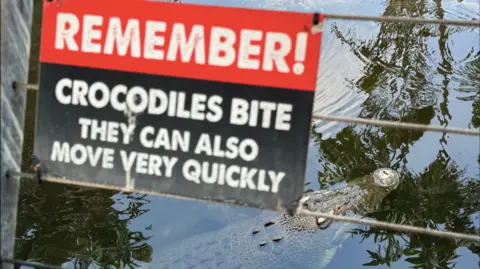 A sign warning that "crocodiles bite", with a crocodile swimming underneath it