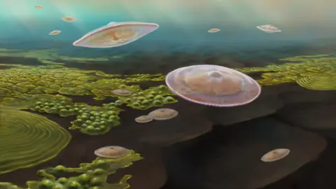 Abderrazzak El Albani An artist’s impression of jellyfish like creatures swimming in a shallow sea