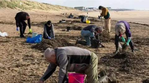 Getty Images A crowd of people on their knees on a sandy beach picking up debris