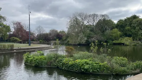 Louise Hobson/BBC A park lake with plants growing in one island and trees growing over the water on the opposite bank. A large pole with a CCTV camera attached is on the opposite side of the water. Geese and small birds are floating on the water and sat on the concrete steps on the opposite bank.