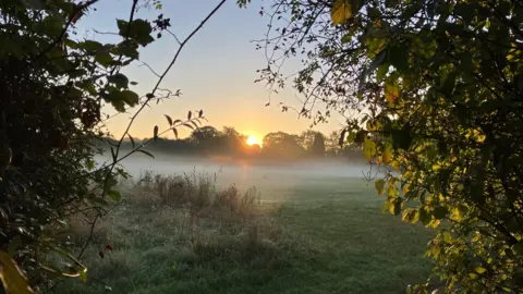 A field framed by tree branches on either side looks to have winter dew on the grass and sits beneath a low, orange sun