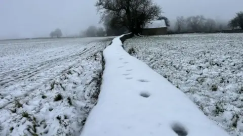 Andy Howard A field and a wall is covered in a layer of white snow, there is a tree in the distance.