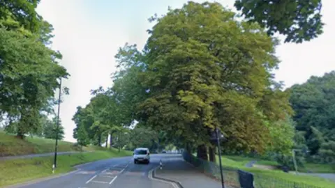 A screenshot from Google streetview of a car driving down a street with green parkland on either side. 