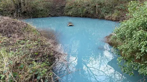 A waterway which has an unnatural vivid blue colour and a pipe emerging from the middle of a round pool. Brambles and foliage cover the banks surrounding the water.