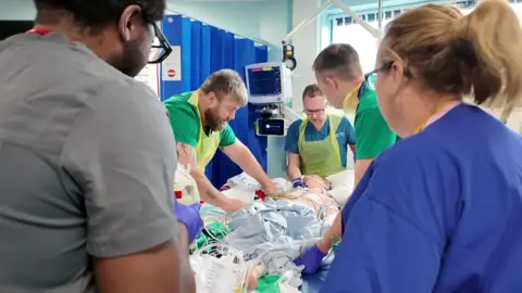 Rex in a hospital bed