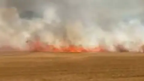A blurred image of fire in the distance sweeping across a light brown field of crops