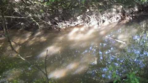 Environment Agency Monkton Burn pollution