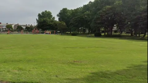 Google Library shot of trees on the right of an open stretch of park with terraced house in the distance.
