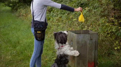 Getty Images A woman dropping a yellow dog waste bag into a public bin in a grassy area with a dog watching on its hind legs.