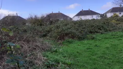 St Helier Community Trust A view of the overgrown park area with houses behind large bushes. There is grass in front of the overgrown hedges.