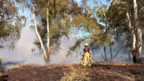 Northamptonshire Fire and Rescue Service A daytime image of smoke-filled woodland, with two firefighters in the foreground pouring water into the distance.