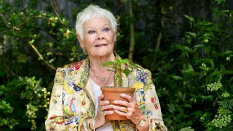 Dame Judi Dench holds up a potted plant at the RHS Chelsea Flower Show.