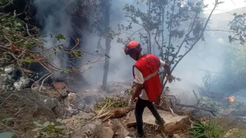 A rescue official works at the site of a tourist helicopter crash on a wooded hillside. The air is thick with smoke and there is wreckage on the ground.
