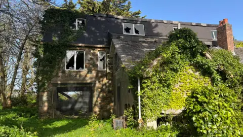 A derelict building with smashed windows covered in green ivy. 