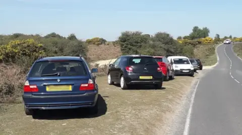 Forestry England Six cars are parked on a grassy verge next to a New Forest road.