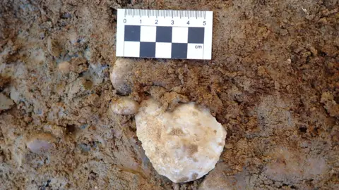 Oxford Archaeology A 5cm ruler in mud, next to a piece of flint