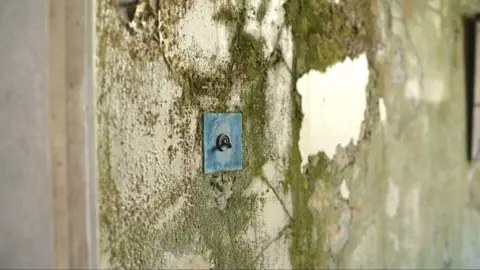 A close-up image of an old light switch, green with oxidisation, the wall around it covered in a greeny-black mould with paint flaking off.