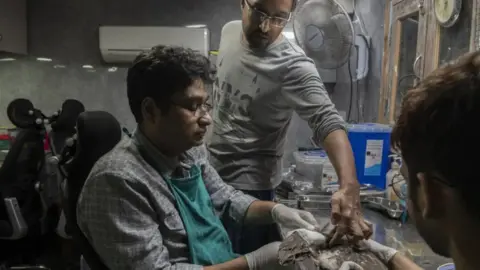 Saumya Khandelwal Two people treat a wounded bird. One of them, a man in a checquered grey shirt and a green apron, is seen holding the bird with gloved hands as it lays on a steel surface with medical equipment around it. A third man stand next to him pressing a finger into the bird.