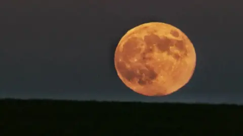 BBC Weather Watchers/Osca31 The large full moon is shining in orange in the night sky. 