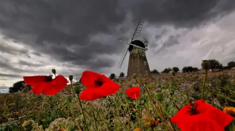 MackemIan A close-up of bright red poppies, which contrast against the darkened windmill behind them, sitting underneath a deep grey sky. The clouds look thick and heavy.