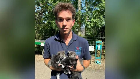 Hopefield Animal Sanctuary A young man holding four little kittens - two tabby and two black - and he is wearing a navy blue polo shirt. 