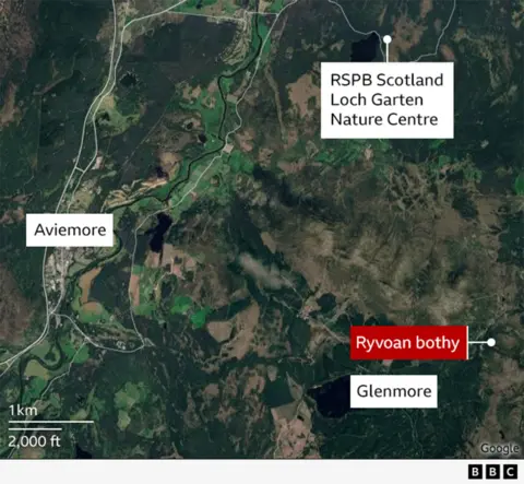 Satellite map of the Aviemore area in the Highlands, showing labels for Aviemore, Glenmore, RSPB Scotland Loch Garten Nature Centre, and Ryvoan Bothy.