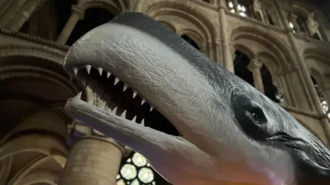  Emma Baugh/BBC close up monsters of the sea sculpture inside the cathedral
