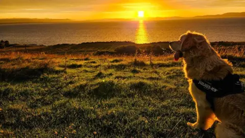 olly79/BBC Weather Watchers A golden retriever at Portmahomack as the sun goes down