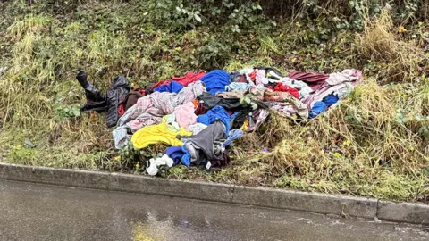 Rosanna Bird A huge pile of clothes dumped in greenery on the side of the road. 