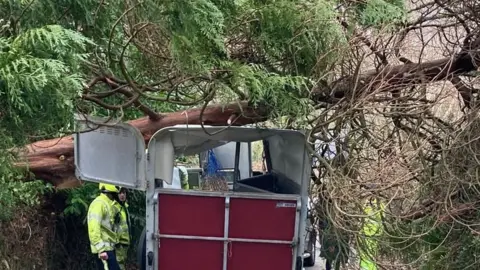 A red and silver horse box with a large fallen tree on top of it. There are three firefighters wearing high-vis jackets.