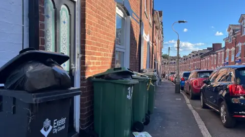 A black bin ready for collection outside a house in Exeter and a row of green recycling bins on a residential street