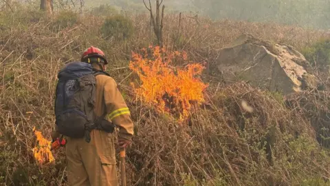 A lone firefighter wearing a large, dark backpack and a fire resistant uniform. He is wearing a red hard helmet and is attempting to put out flames on gorse. 