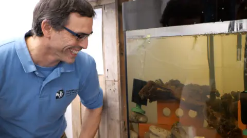 Hampshire & Isle of Wight Wildlife Trust A man looking into the crayfish tank