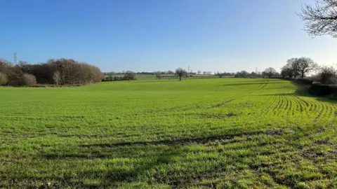 Large green field surrounded by trees and hedgerows