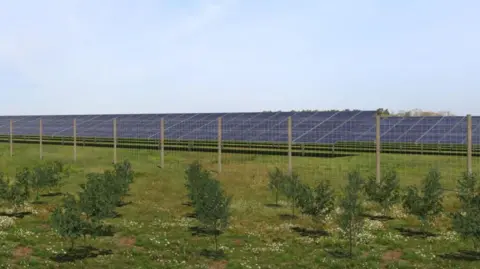 Pathfinder Clean Energy ULDev Limited An artist's impression of the solar farm on green land. A fence sits in front of the solar panels as well as small trees.