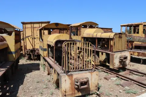 Caroline McIlvenny  Abandoned locomotives rusting in a siding