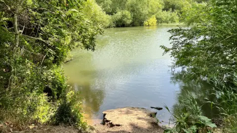 View of a river from its bank. There are green trees around and the sun is shining.