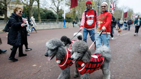 Two large poodles dressed in festive jumpers with their owners, two men, on the Mall in London.