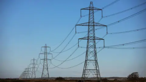 Getty Images A row of pylons in a countryside