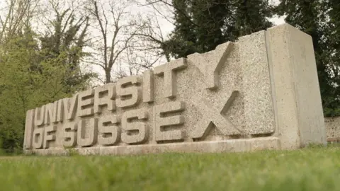 A low concrete monument bearing the text “University of Sussex” sits on a grassy verge, viewed from a low angle. Trees with early spring foliage form the background under an overcast sky, giving the setting a quiet, landscaped campus feel.