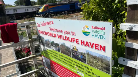 John Devine/BBC A large sign for Railworld Wildlife Haven with photos and information. It is on a white wooden fence and beyond it are some real trains from its collection.