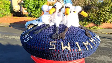 Rachel Williamson Knitted station  container  topper showing "seven swans a swimming"