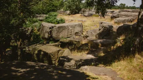 Matt Radcliffe Dappled light over large rocks and trees