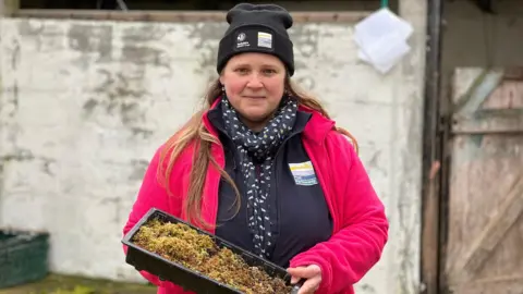 Michelle Lyons/BBC A woman with a black hat and pink jacket holds a tray of moss. She is stood in front of a white-washed farm building.