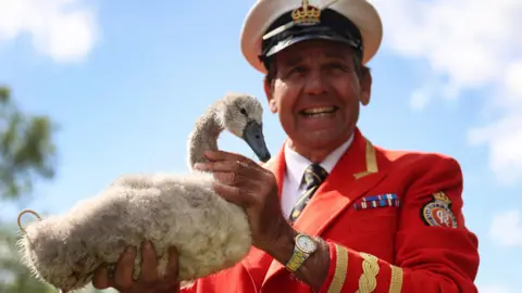 The King's Swan Marker with a cygnet during the swan upping tradition in 2025